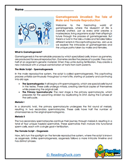Reproductive Journey Worksheet