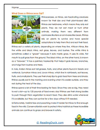 Rhinoceros Worksheets