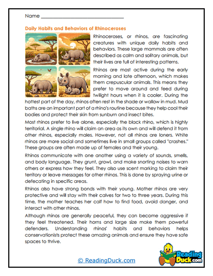 Calm Wanderer Worksheet