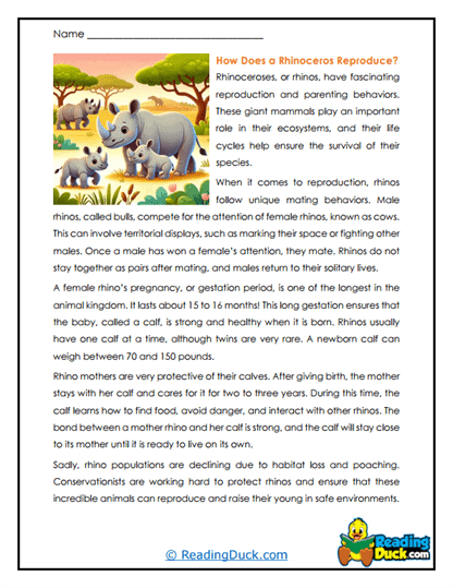 Gentle Giants Worksheet