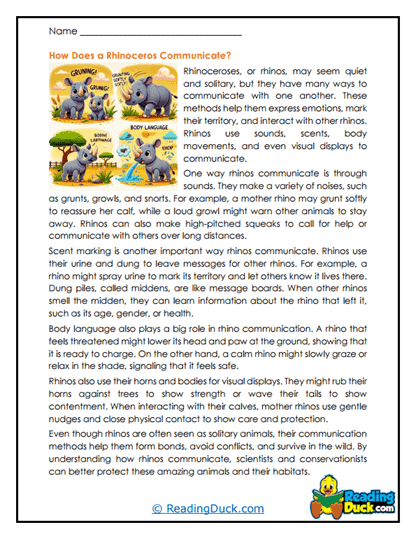 Sound Signals Worksheet
