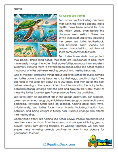 Ocean Traveler Worksheet