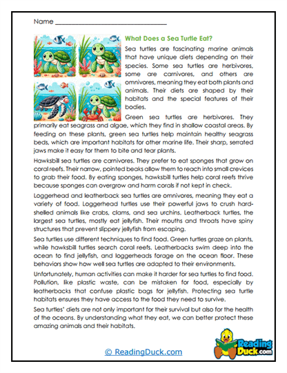 Ocean Diet Worksheet