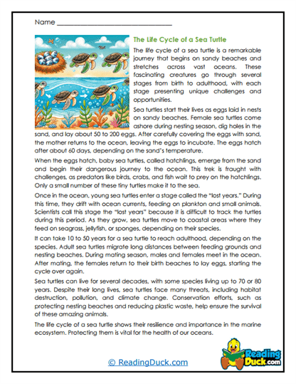 Life Voyage Worksheet