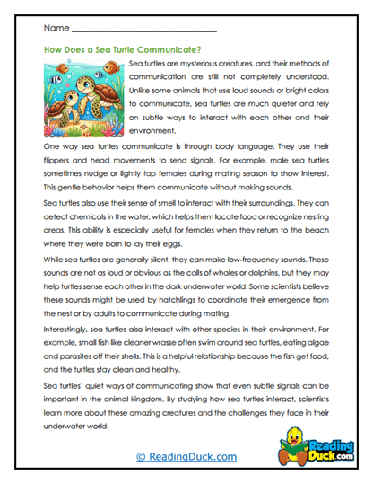 Silent Signals Worksheet