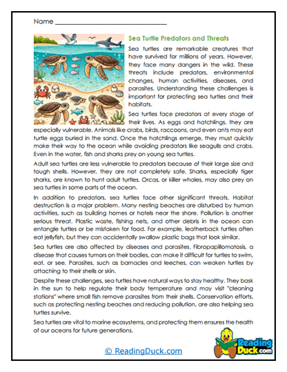 Ocean Threats Worksheet