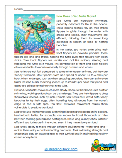 Graceful Glider Worksheet