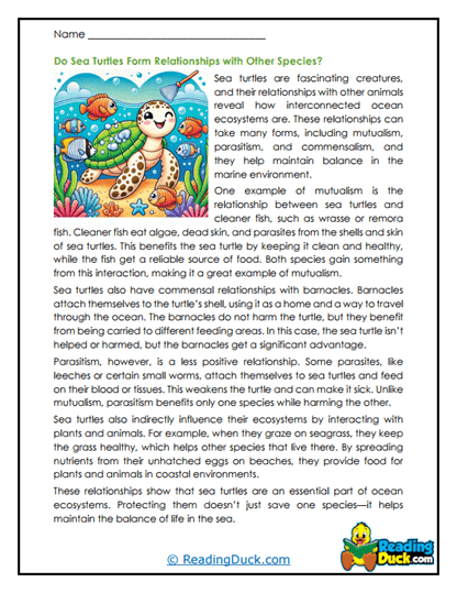 Ocean Partners Worksheet