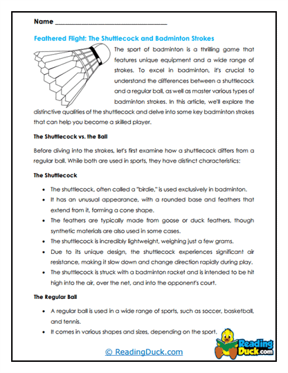 Shuttle Secrets Worksheet