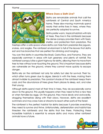 Rainforest Home Worksheet