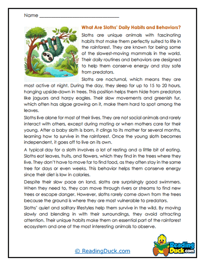 Night Climber Worksheet