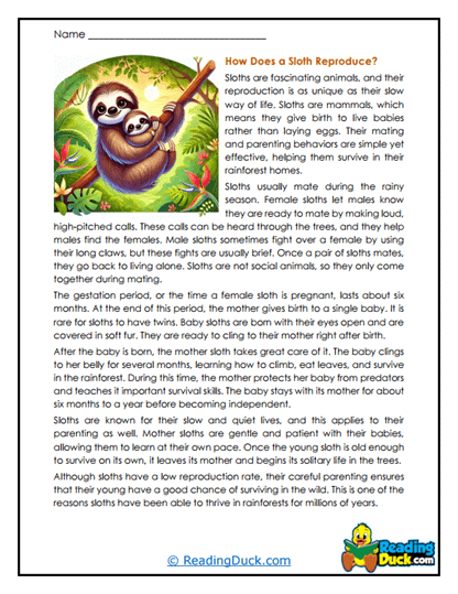 Rainy Family Worksheet