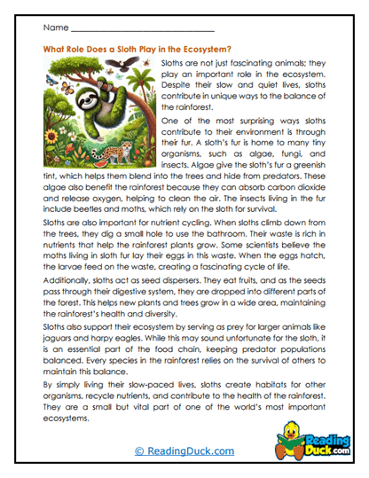 Canopy Helper Worksheet