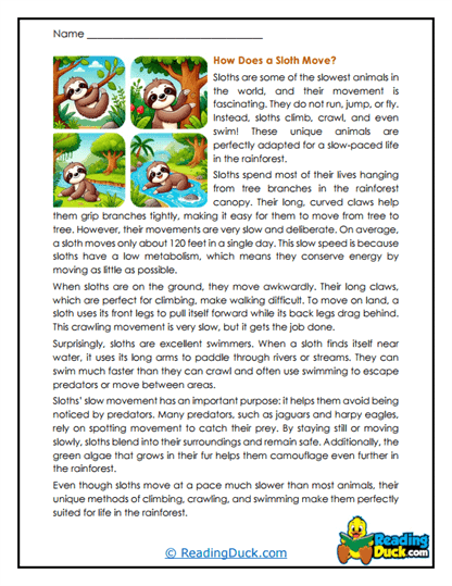 Tree Traveler Worksheet