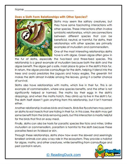 Symbiotic Friends Worksheet