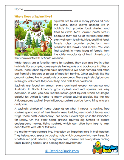 Forest Homes Worksheet