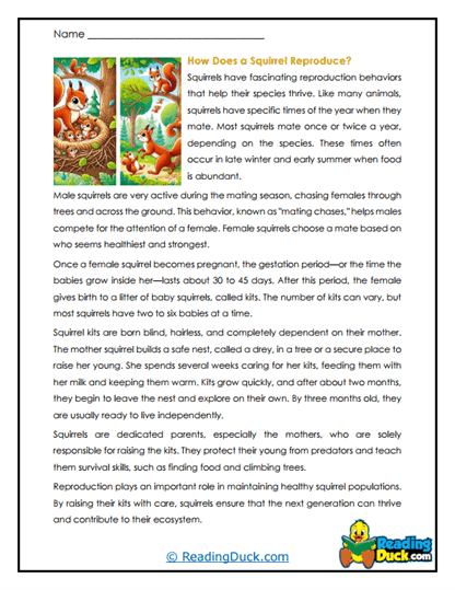 Nesting Mothers Worksheet