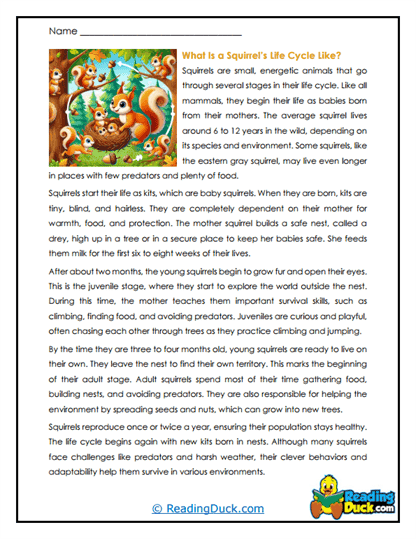 Treebound Life Worksheet