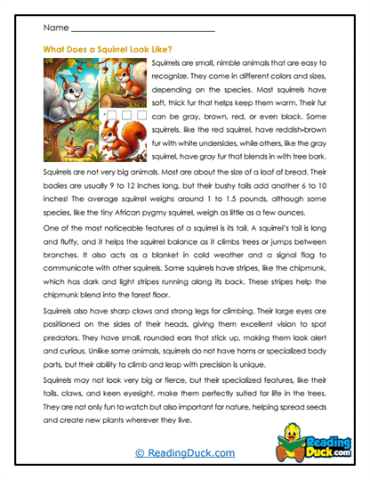 Fluffy Acrobat Worksheet