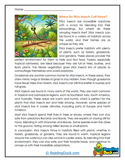 Leafy Homes Worksheet