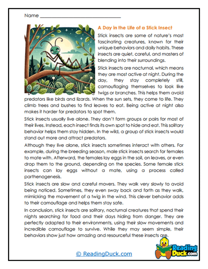 Twig Travelers Worksheet