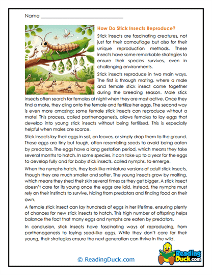 Seed-Like Beginnings Worksheet