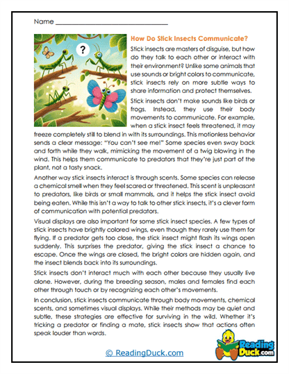 Nature's Messages Worksheet