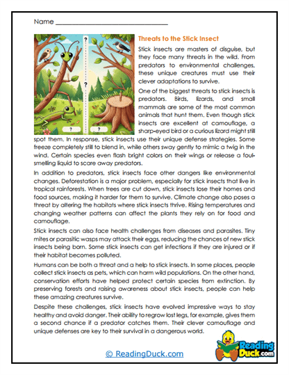 Twig Defenders Worksheet