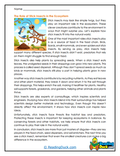 Forest Contributors Worksheet