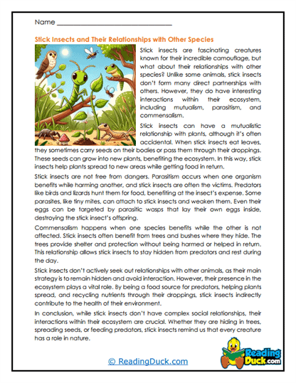 Nature Connections Worksheet