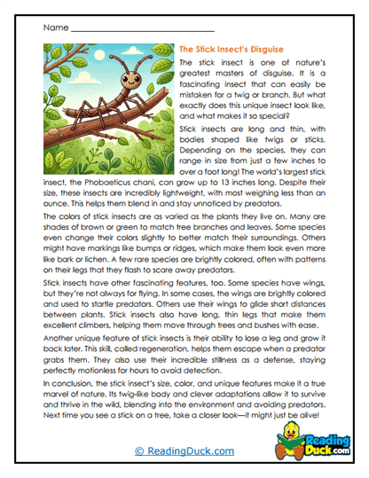 Twig Tricks Worksheet