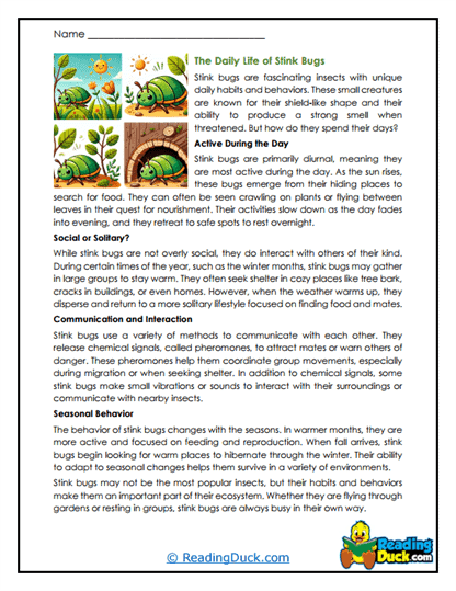 Busy Beetles Worksheet