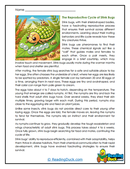 Tiny Beginnings Worksheet