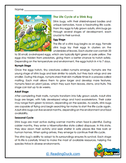 Backyard Transformations Worksheet