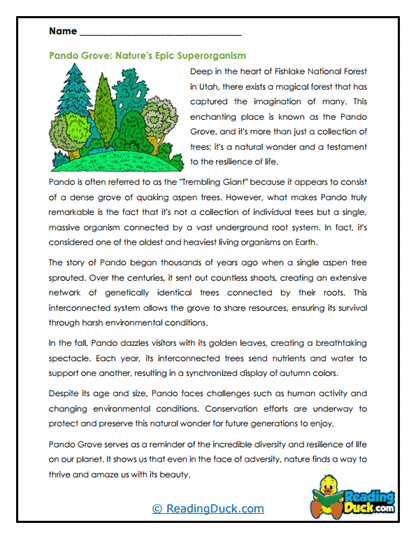 Pando's Power Worksheet