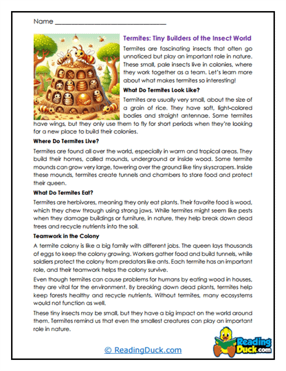 Termite Reading Comprehension Worksheets