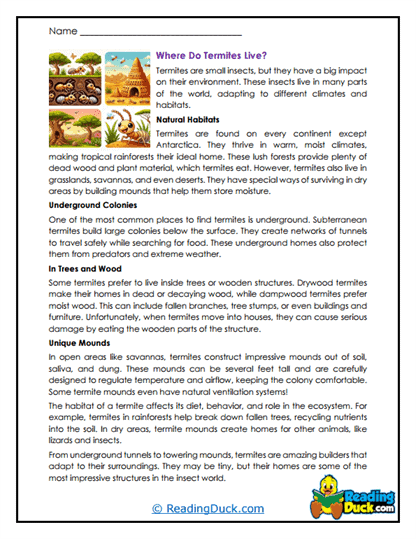 Hidden Cities Worksheet
