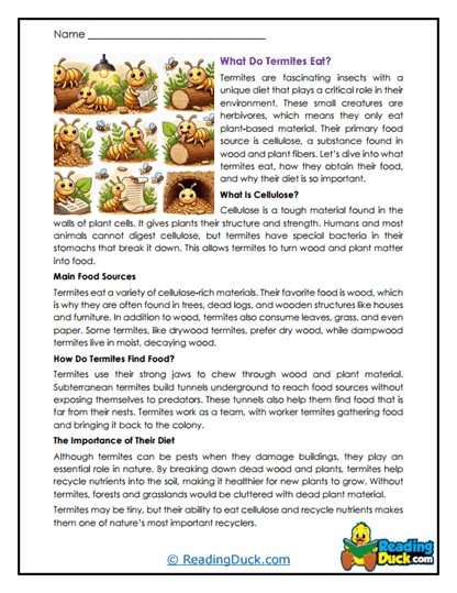 Woodland Diners Worksheet