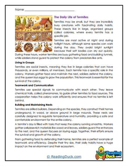 Teamwork in Action Worksheet