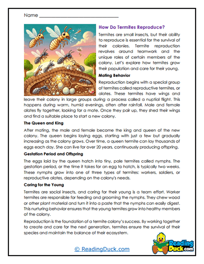 Future Colonies Worksheet