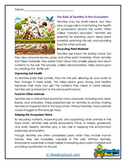 Nature's Cleanup Crew Worksheet
