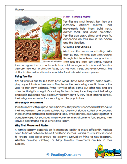 Purposeful Travelers Worksheet