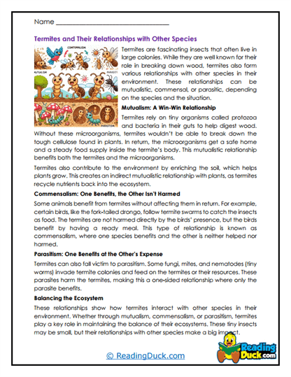 Connected Colonies Worksheet