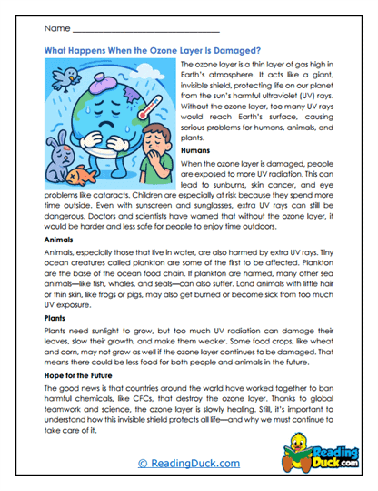Life Exposed Worksheet