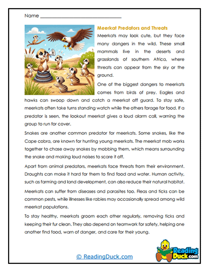 Desert Defenders Worksheet