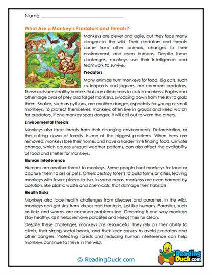 Wild Dangers Worksheet