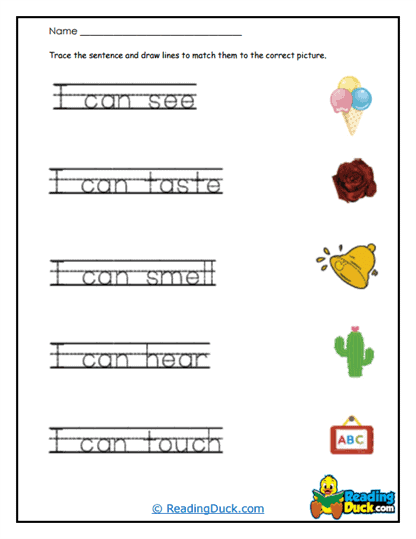 Sense Match Worksheet