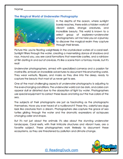 Underwater Photographers Worksheet