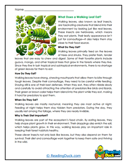 Leaf Eaters Worksheet