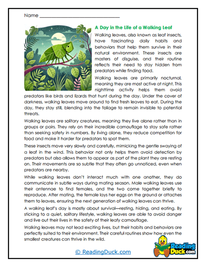Nighttime Adventures Worksheet